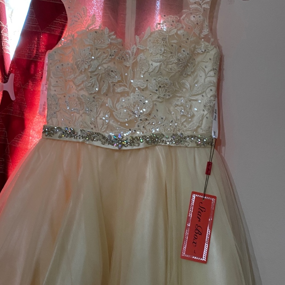 dama quince dress/ brides made dress